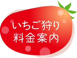 いちご狩り料金案内