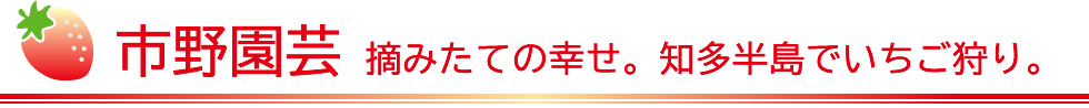 市野園芸　摘みたての幸せ。知多半島でいちご狩り。