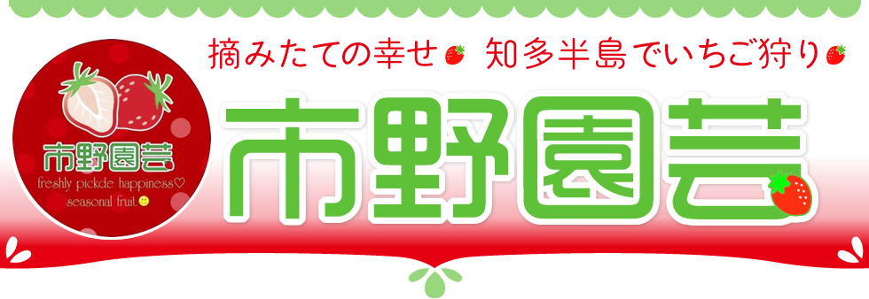 市野園芸　摘みたての幸せ。知多半島でいちご狩り。