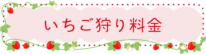 いちご狩り料金