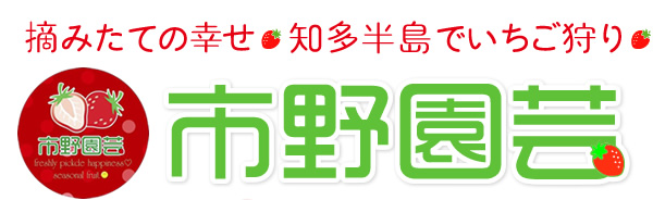 市野園芸　摘みたての幸せ。知多半島でいちご狩り。