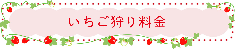 いちご狩り料金